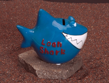 Sparhai Loan-Shark 11 x 13 cm