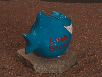 Sparhai Loan-Shark 11 x 13 cm