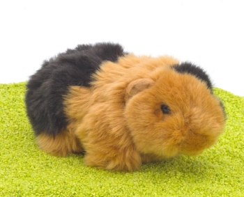Plüschtier Meerschweinchen schwarz-gold 20cm
