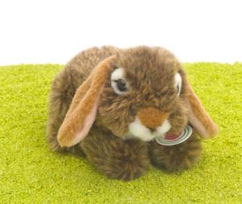 Plüschtier Hase Widderkaninchen braun 18cm