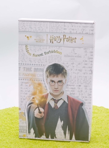 Wärmflasche mit kuscheligem Überzug Harry Potter - Hermine