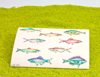 3er Set Schwammtücher Bunte Fische