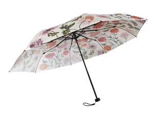 Regenschirm für die Tasche Maria Sibylla Merian