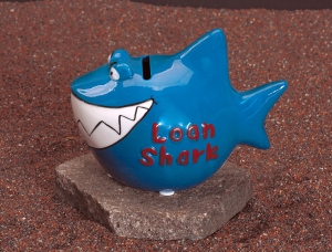 Sparhai Loan-Shark 11 x 13 cm