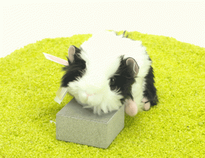 Plüschtier Meerschweinchen schwarz-weiß 20cm