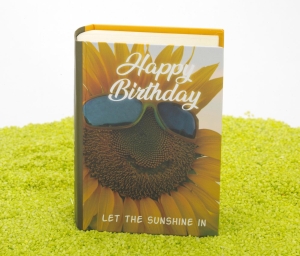 Geschenkschachtel Buch - Happy Birthday