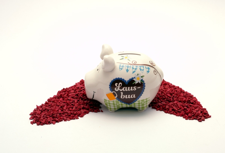 Sparschwein Laus Bua 9 x 12,5 cm