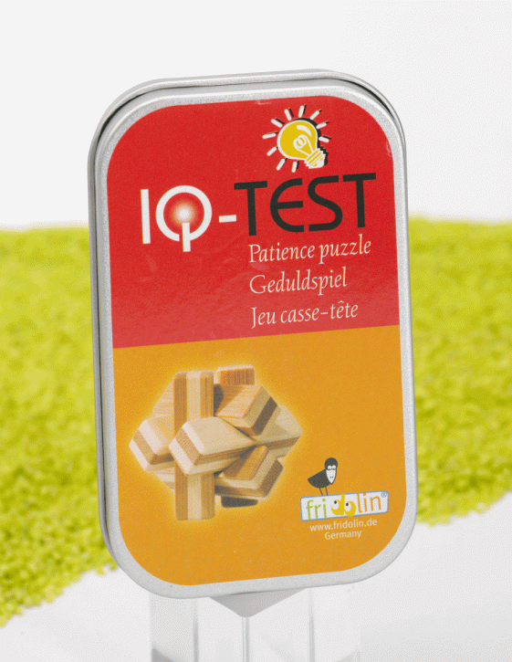 IQ Test Bambus Puzzle in der Dose Knoten