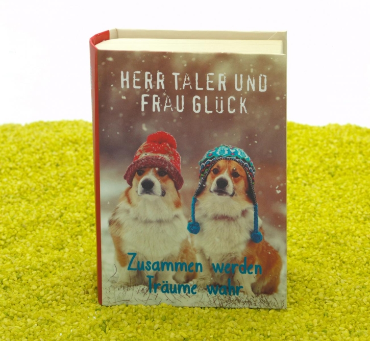 Geschenkschachtel Buch - Frau Taler und Herr Glück