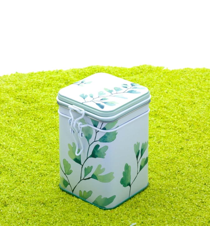 Teedose Case mit Verschluss Trees Gingko 150g