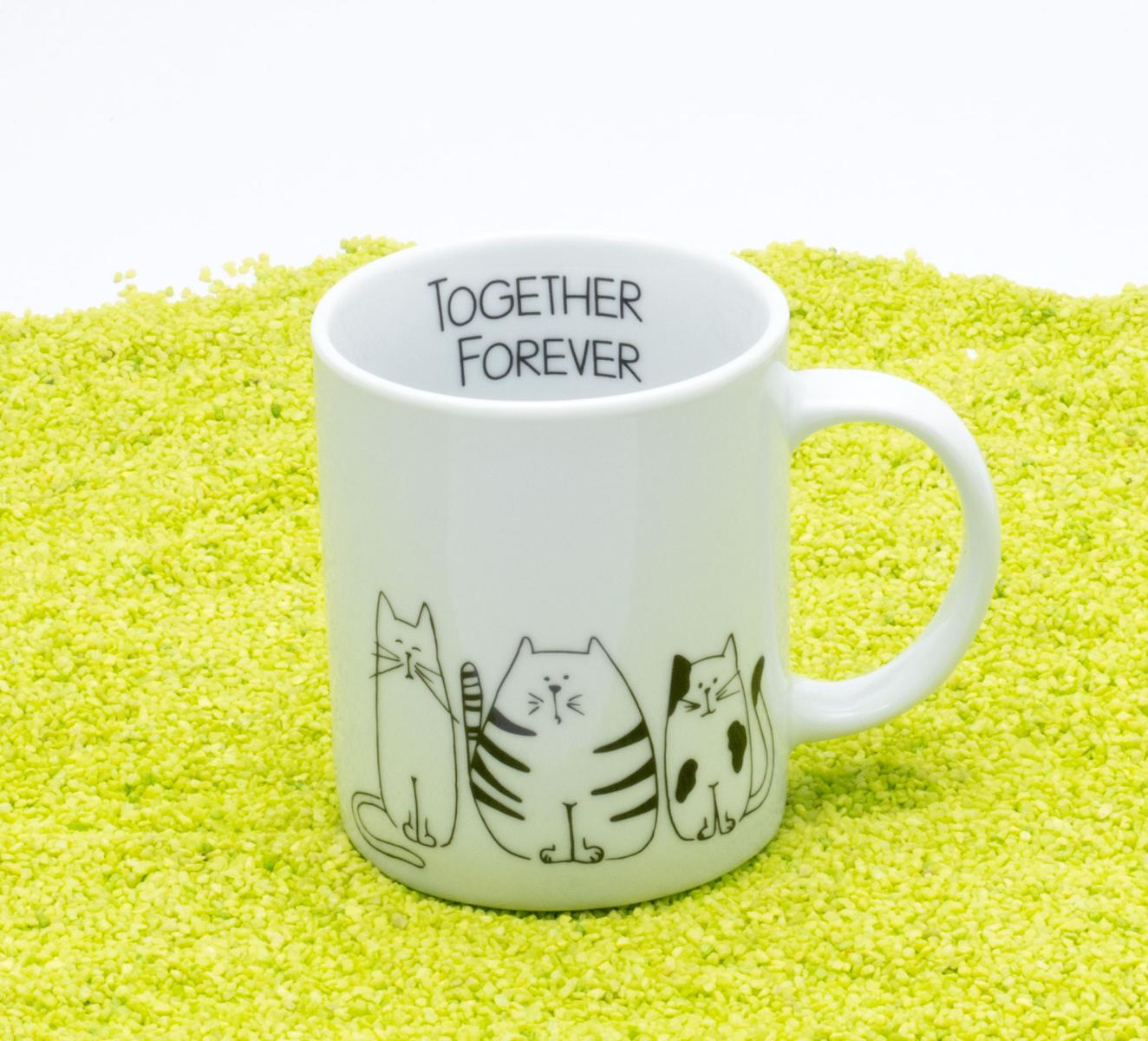 becher  funny cats